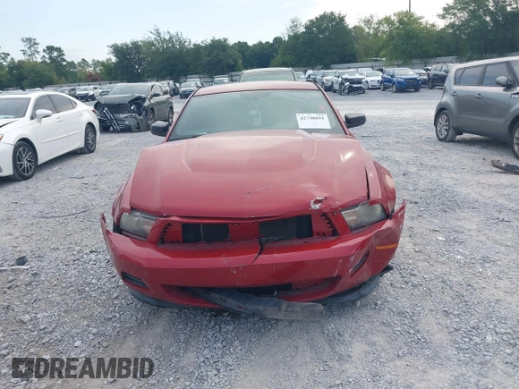 2011 Ford Mustang V6 with VIN 1ZVBP8AM1B5166227, listed as a IAAI auction lot 42748651 with 148,448 mi miles and . Bid and sale history available at DreamBid. Image 13.