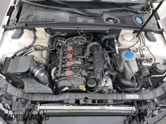 2009 Audi A4 2.0T Prem with VIN WAULF78K19N024783, listed as a Copart auction lot 51243905 with 165,039 mi miles and Salvage Title. Bid and sale history available at carsss.com. Image 11.
