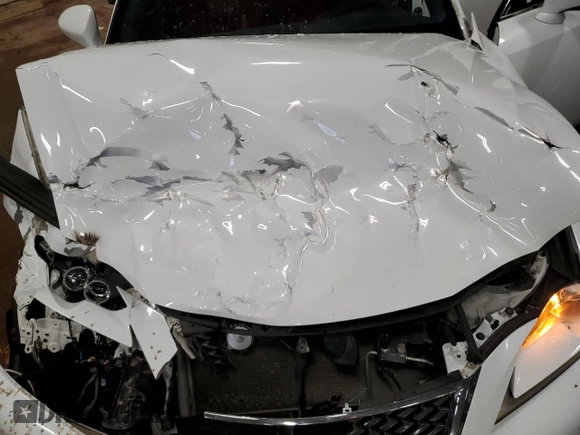 2014 Lexus IS 250 with VIN JTHBF1D2XE5042841, listed as a Copart auction lot 80732934 with 155,045 mi miles and Salvage Title. Bid and sale history available at carsss.com. Image 12.