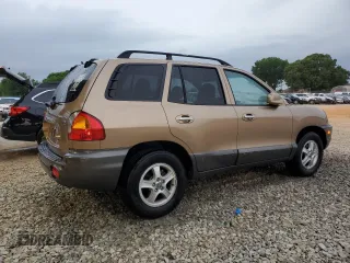2004 Hyundai Santa Fe GLS with VIN KM8SC13E34U595014, listed as a Copart auction lot 55642745 with 69,303 mi miles and Salvage title. Bid and sale history available at DreamBid. Image 3.