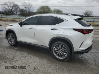 2023 Lexus NX with VIN JTJGKCEZXP2013352, listed as a Copart auction lot 49780415 with 44,593 mi miles and Salvage Title. Bid and sale history available at carsss.com. Image 2.