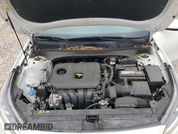 2019 Kia Forte LXS with VIN 3KPF24AD5KE073694, listed as a Copart auction lot 50528565 with 100,234 mi miles and Salvage Title. Bid and sale history available at carsss.com. Image 11.