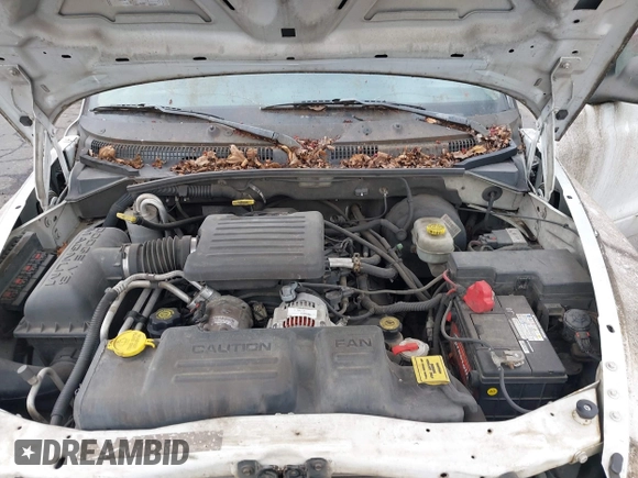 2003 Dodge Dakota SLT with VIN 1D7HL42N83S296040, listed as a IAAI auction lot 41462371 with 250,407 mi miles. Bid and sale history available at carsss.com. Image 10.