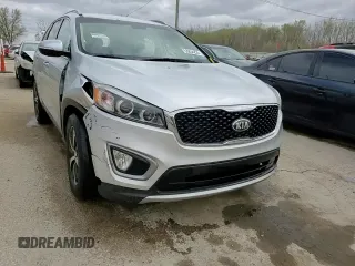 2016 Kia Sorento EX with VIN 5XYPH4A53GG009434, listed as a Copart auction lot 53254225 with 140,083 mi miles and Salvage title. Bid and sale history available at DreamBid. Image 14.