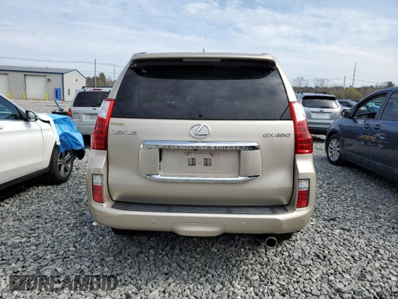 2010 Lexus GX 460 with VIN JTJBM7FX3A5011991, listed as a Copart auction lot 52017695 with 113,068 mi miles and Clean Title. Bid and sale history available at DreamBid. Image 6.
