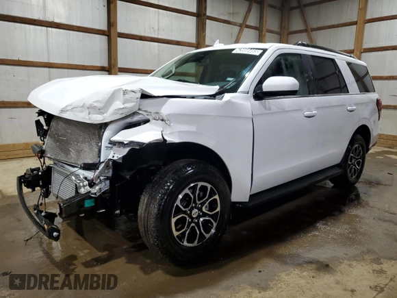 2024 Ford Expedition XLT with VIN 1FMJU1H84REA47391, listed as a Copart auction lot 43958465 with 25,182 mi miles and Clean Title. Bid and sale history available at carsss.com. Image 1.