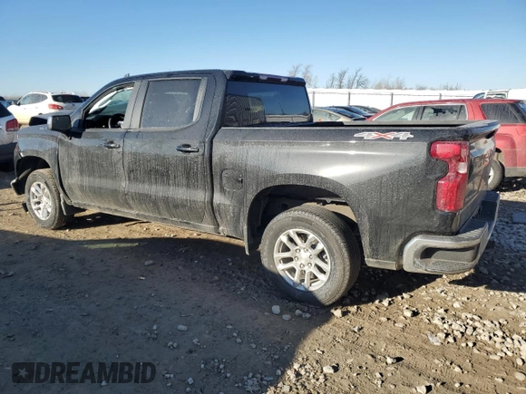 2023 Chevrolet Silverado 1500 LT with VIN 3GCPDKEK8PG130347, listed as a Copart auction lot 81558274 with 0 mi miles and Salvage Title. Bid and sale history available at carsss.com. Image 2.