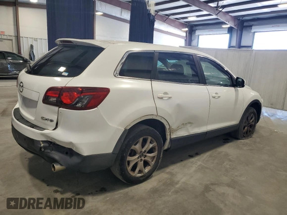 2014 Mazda CX-9 Touring with VIN JM3TB2CA9E0432253, listed as a Copart auction lot 52918325 with 177,097 mi miles and Clean Title. Bid and sale history available at carsss.com. Image 3.