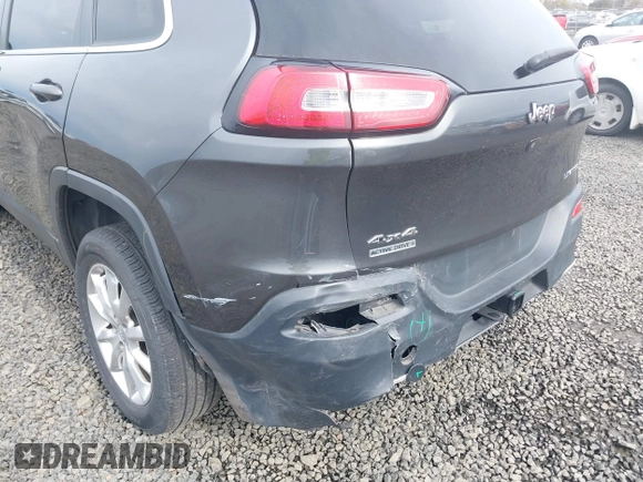 2015 Jeep Cherokee Limited with VIN 1C4PJMDS5FW550282, listed as a IAAI auction lot 41796297 with 96,374 mi miles and . Bid and sale history available at DreamBid. Image 6.