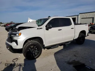 2022 Chevrolet Silverado 1500 LT Trail Boss with VIN 3GCUDFEL2NG661169, listed as a Copart auction lot 73760814 with Not Provided miles and Salvage Title. Bid and sale history available at DreamBid. Image 1.