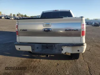 2009 Ford F-150 XL with VIN 1FTPW14V29FA61823, listed as a Copart auction lot 73438054 with 242,529 mi miles and Clean title. Bid and sale history available at DreamBid. Image 6.