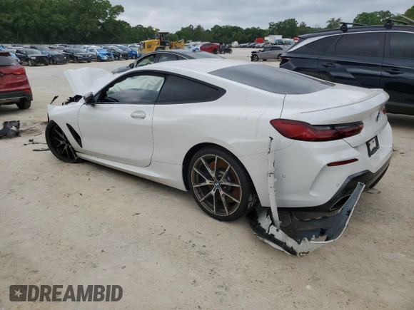 2019 BMW 8 Series M850i xDrive with VIN WBABC4C5XKBU96184, listed as a Copart auction lot 48598015 with Not Provided miles and Non Repairable. Bid and sale history available at DreamBid. Image 2.