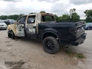 2012 Ford F-150 XL with VIN 1FTFW1EFXCFA29065, listed as a Copart auction lot 62226564 with Not provided miles and Non repairable. Bid and sale history available at DreamBid. Image 2.