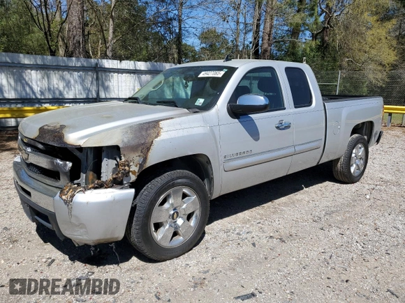 2010 Chevrolet Silverado 1500 LT with VIN 1GCSCSE03AZ298271, listed as a Copart auction lot 49427065 with 138,154 mi miles and Salvage Title. Bid and sale history available at DreamBid. Image 1.