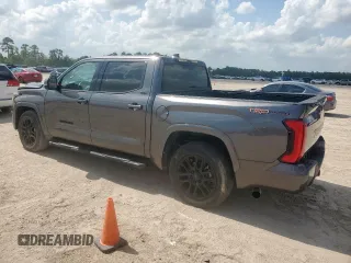 2022 Toyota Tundra SR5 with VIN 5TFLA5AB3NX009801, listed as a Copart auction lot 62122045 with 19,377 mi miles and Salvage title. Bid and sale history available at DreamBid. Image 2.