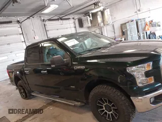 2015 Ford F-150 XLT with VIN 1FTEW1EP1FFB23876, listed as a IAAI auction lot 42049616 with 175,655 mi miles. Bid and sale history available at carsss.com. Image 13.