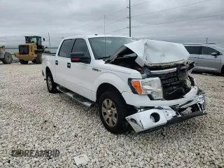 2009 Ford F-150 XL with VIN 1FTRW12859FA38350, listed as a Copart auction lot 44960265 with 145,502 mi miles and Salvage Title. Bid and sale history available at carsss.com. Image 10.