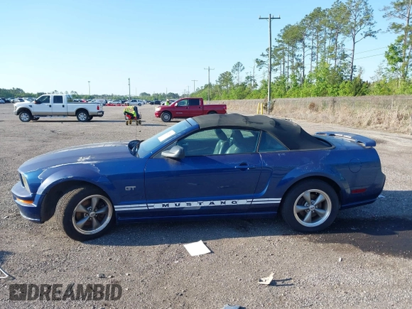 2006 Ford Mustang GT Deluxe with VIN 1ZVFT85H465215338, listed as a IAAI auction lot 42035867 with 124,381 mi miles. Bid and sale history available at carsss.com. Image 14.