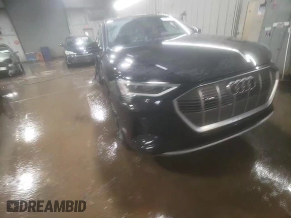 2022 Audi e-tron Sportback S line Premium Plus z VIN WA12AAGE4NB022165, wystawiony jako Copart lot #43021435 z przebiegiem 28 760 mil mil oraz Szkoda całkowita • Salvage title. Historia ofert i sprzedaży dostępna na DreamBid. Obrazek 13.