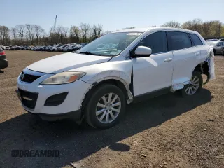 2010 Mazda CX-9 Grand Touring with VIN JM3TB2MV3A0211646, listed as a Copart auction lot 54141135 with 175,356 mi miles and Salvage title. Bid and sale history available at DreamBid. Image 1.