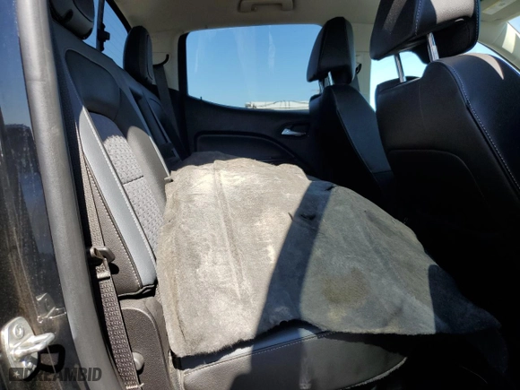 2019 Chevrolet Colorado 4WD Z71 with VIN 1GCGTDEN2K1110966, listed as a Copart auction lot 46719435 with 49,948 mi miles and Salvage Title. Bid and sale history available at carsss.com. Image 10.