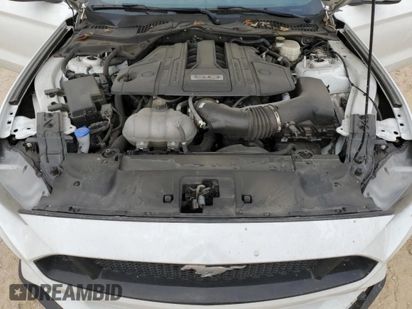2023 Ford Mustang GT with VIN 1FA6P8CF5P5303895, listed as a Copart auction lot 51772525 with 28,930 mi miles and Salvage Title. Bid and sale history available at DreamBid. Image 13.