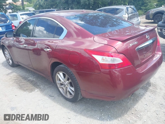 2011 Nissan Maxima S with VIN 1N4AA5AP8BC851559, listed as a IAAI auction lot 42534444 with 222,289 mi miles and . Bid and sale history available at DreamBid. Image 3.