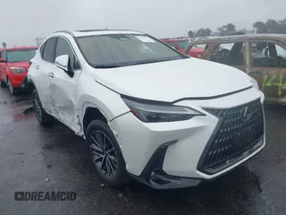 2024 Lexus NX with VIN JTJGKCEZ4R5013106, listed as a IAAI auction lot 41499547 with 13,651 mi miles. Bid and sale history available at carsss.com. Image 1.