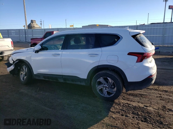 2023 Hyundai Santa Fe SEL with VIN 5NMS2DAJ4PH509469, listed as a Copart auction lot 39983403 with 3,371 mi miles. Bid and sale history available at carsss.com. Image 2.