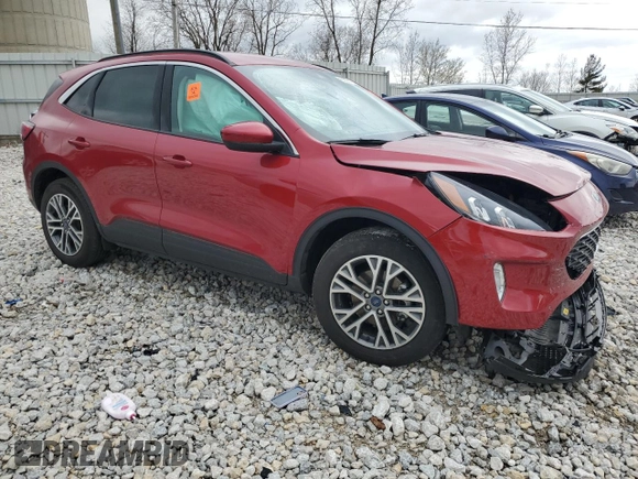 2021 Ford Escape SEL Hybrid with VIN 1FMCU9CZ6MUB19679, listed as a Copart auction lot 53336115 with Not provided miles and Clean title. Bid and sale history available at DreamBid. Image 4.