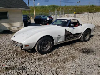 1974 Chevrolet Corvette with VIN 1Z67J4S405054, listed as a Copart auction lot 66356575 with 7,810 mi miles and Salvage title. Bid and sale history available at DreamBid. Image 1.