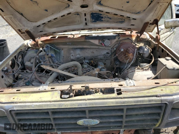 1983 Ford Bronco with VIN 1FMEU15G0DLA49642, listed as a Copart auction lot 60506405 with Not provided miles and Clean title. Bid and sale history available at DreamBid. Image 12.