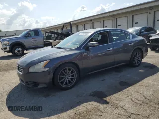 2013 Nissan Maxima S with VIN 1N4AA5APXDC825628, listed as a Copart auction lot 62369445 with 242,546 mi miles and Clean title. Bid and sale history available at DreamBid. Image 1.