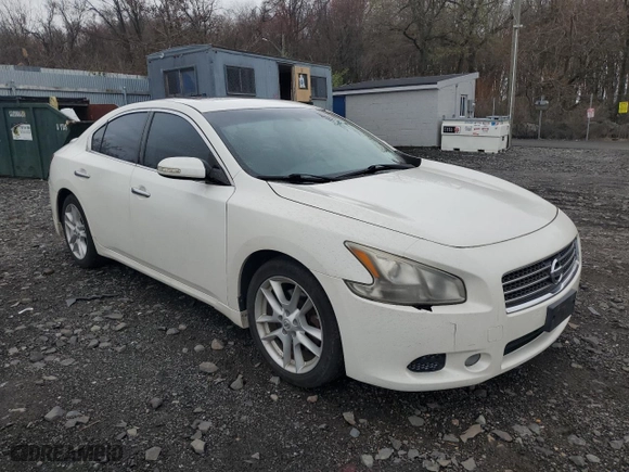 2009 Nissan Maxima 3.5 SV w/Sport Pkg with VIN 1N4AA51E89C842983, listed as a Copart auction lot 51309885 with 80,844 mi miles and Salvage Title. Bid and sale history available at carsss.com. Image 4.