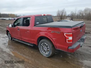 2020 Ford F-150 XL with VIN 1FTEW1EP4LKF53209, listed as a Copart auction lot 47538845 with 50,041 mi miles and Salvage Title. Bid and sale history available at DreamBid. Image 2.