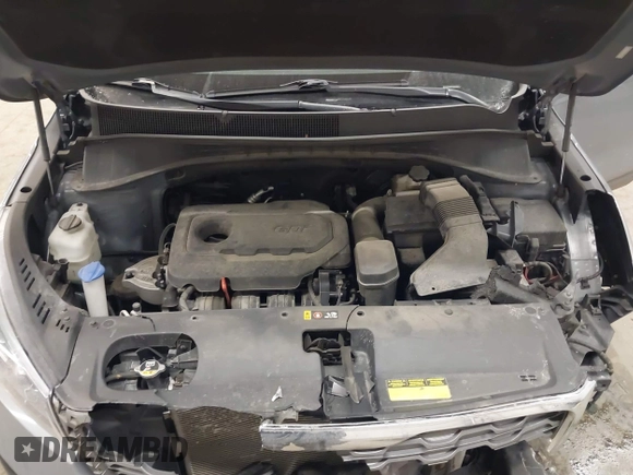 2020 Kia Sorento LX with VIN 5XYPG4A31LG627301, listed as a IAAI auction lot 41390047 with 68,312 mi miles and . Bid and sale history available at DreamBid. Image 10.