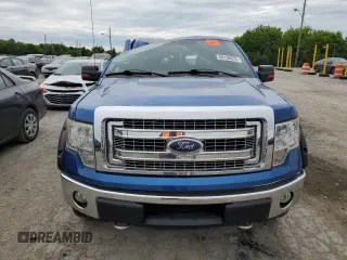 2013 Ford F-150 XL with VIN 1FTFW1EF1DKD22149, listed as a Copart auction lot 58136975 with 202,594 mi miles and Salvage title. Bid and sale history available at DreamBid. Image 5.