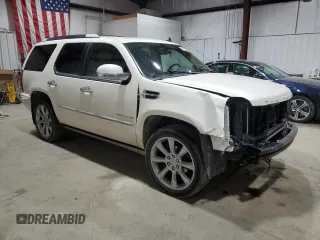 2010 Cadillac Escalade Premium with VIN 1GYUKCEF2AR146420, listed as a Copart auction lot 48102685 with 121,229 mi miles and Clean title. Bid and sale history available at DreamBid. Image 4.