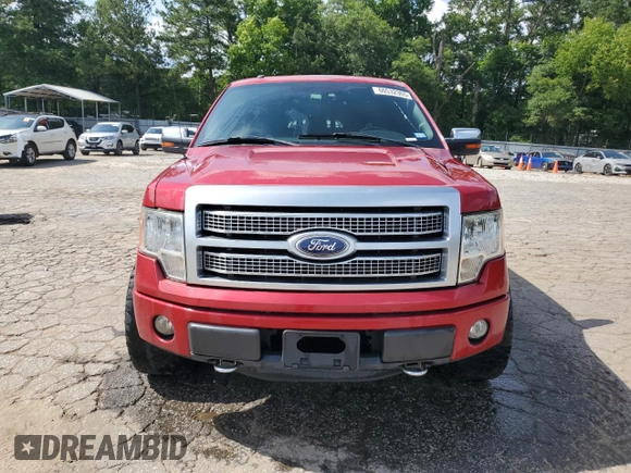 2011 Ford F-150 XL with VIN 1FTFW1EF4BFA08307, listed as a Copart auction lot 60532365 with 193,724 mi miles and Salvage title. Bid and sale history available at DreamBid. Image 5.
