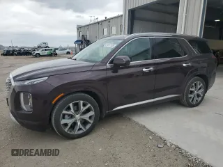 2021 Hyundai Palisade Limited with VIN KM8R5DHE5MU189707, listed as a Copart auction lot 54917185 with 42,886 mi miles and Salvage title. Bid and sale history available at DreamBid. Image 1.