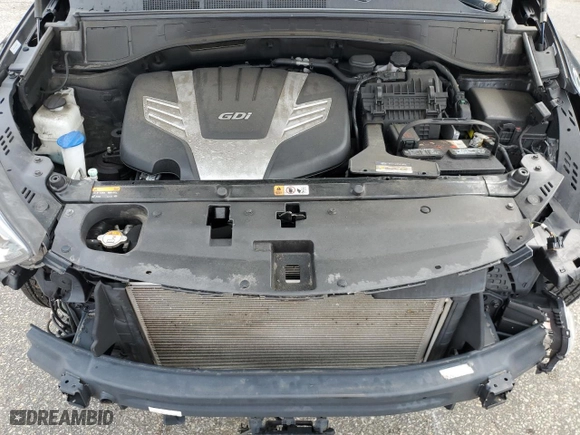 2019 Hyundai Santa Fe XL Limited Ultimate with VIN KM8SRDHF9KU306703, listed as a Copart auction lot 64034923 with 46,123 mi miles. Bid and sale history available at carsss.com. Image 12.