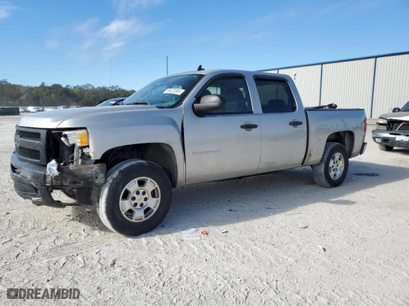 2009 Chevrolet Silverado 1500 LS with VIN 2GCEC13C391140750, listed as a Copart auction lot 89070065 with 170,957 mi miles and Salvage Title. Bid and sale history available at carsss.com. Image 1.