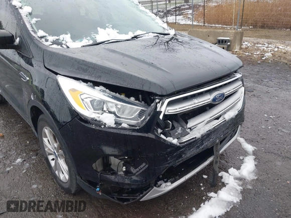 2017 Ford Escape SE with VIN 1FMCU0GD5HUD08968, listed as a IAAI auction lot 42008576 with 95,363 mi miles and . Bid and sale history available at DreamBid. Image 6.