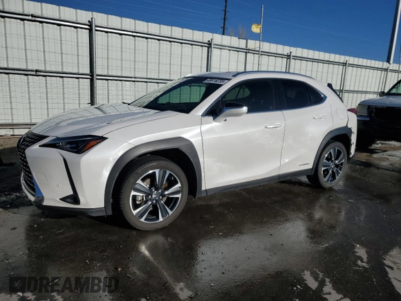 2021 Lexus UX 250h z VIN JTHP9JBH4M2038336, wystawiony jako Copart lot #49616235 z przebiegiem 20 939 mil mil oraz Szkoda całkowita • Salvage title. Historia ofert i sprzedaży dostępna na DreamBid. Obrazek 1.