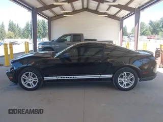 2011 Ford Mustang V6 с VIN 1ZVBP8AM6B5105584, выставлен на аукционе IAAI как лот 42686108 с пробегом 143 296 миль миль и . История ставок и продаж доступна на DreamBid. Изображение 14.