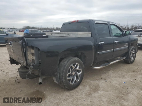 2009 Chevrolet Silverado 1500 LT with VIN 3GCEC23079G276141, listed as a Copart auction lot 45540535 with 171,013 mi miles and Salvage Title. Bid and sale history available at carsss.com. Image 3.