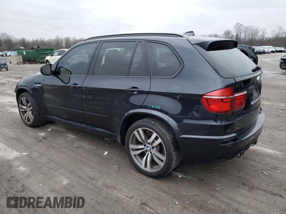2013 BMW X5 M with VIN 5YMGY0C51DLL15660, listed as a Copart auction lot 84766244 with 113,007 mi miles and Salvage Title. Bid and sale history available at carsss.com. Image 2.