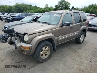 2002 Jeep Liberty Limited with VIN 1J4GL58K22W120496, listed as a Copart auction lot 62561875 with 161,388 mi miles and Salvage title. Bid and sale history available at DreamBid. Image 1.