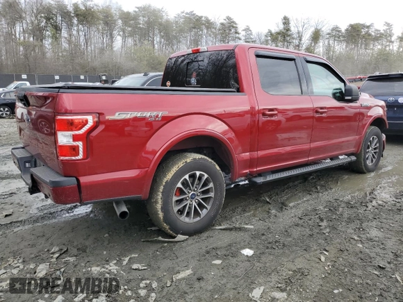 2019 Ford F-150 XL with VIN 1FTEW1EP0KFD31144, listed as a Copart auction lot 46730455 with 48,444 mi miles and Salvage Title. Bid and sale history available at DreamBid. Image 3.