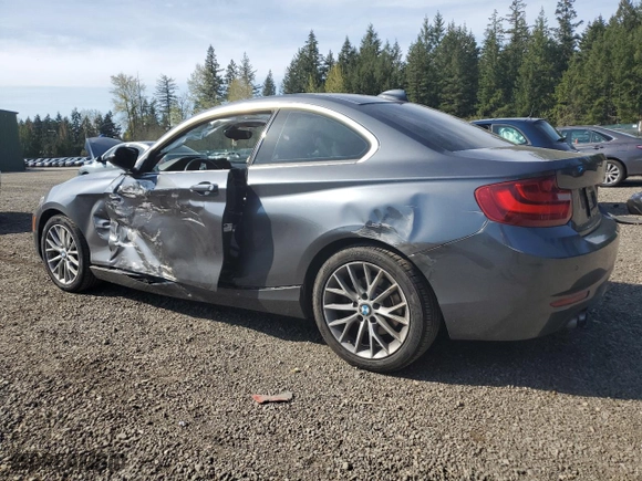 2014 BMW 2 Series 228i with VIN WBA1F5C55EV246282, listed as a Copart auction lot 53211745 with 87,106 mi miles and Salvage Title. Bid and sale history available at carsss.com. Image 2.